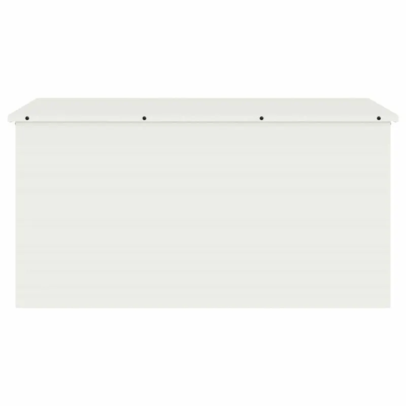Lauko saugojimo dėžė Balta 100 x 50,5 x 50 cm Plienas