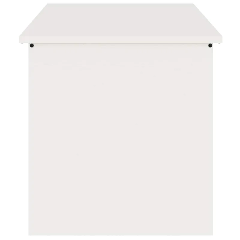 Lauko saugojimo dėžė Balta 100 x 50,5 x 50 cm Plienas