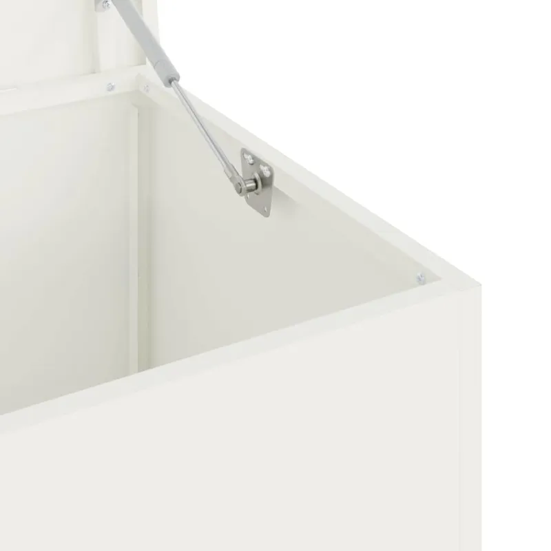 Lauko saugojimo dėžė Balta 100 x 50,5 x 50 cm Plienas