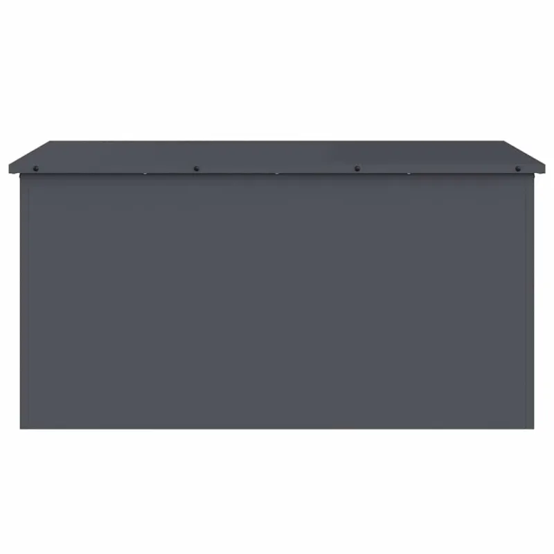 Lauko saugojimo dėžė Antracitas 100 x 50,5 x 50 cm Plienas