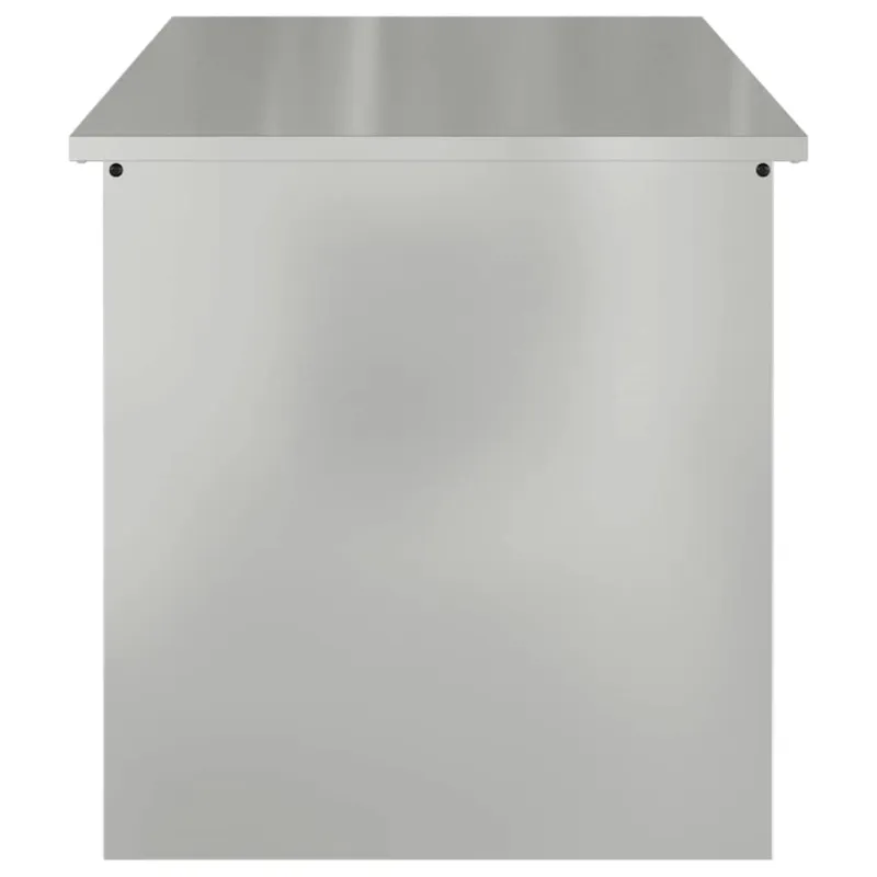 Lauko saugojimo dėžė Sidabro 100 x 50,5 x 50 cm Plienas