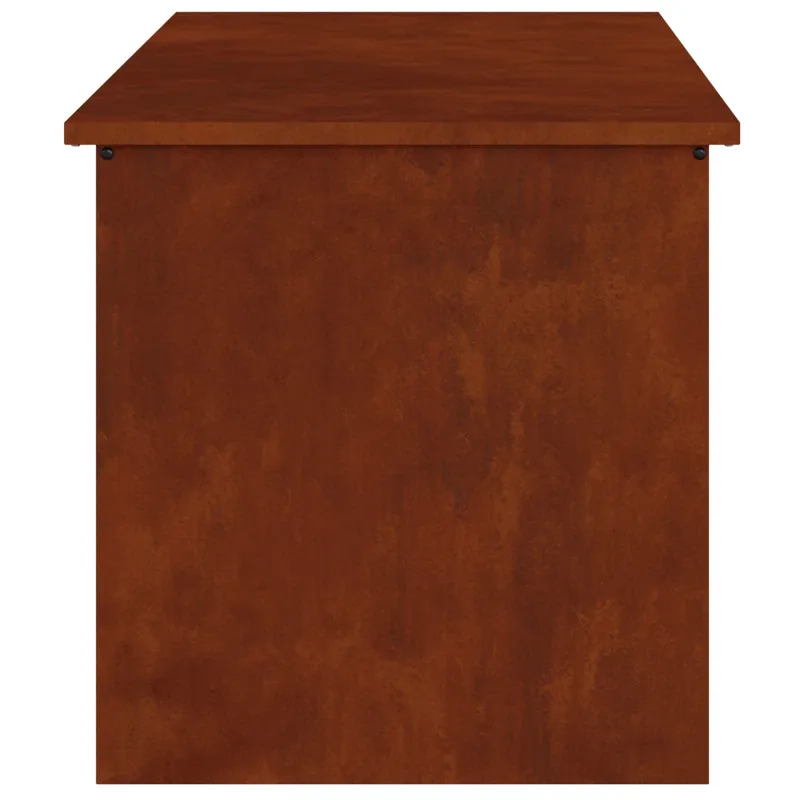 Lauko saugojimo dėžė Rūdijanti 100 x 50,5 x 50 cm Plienas