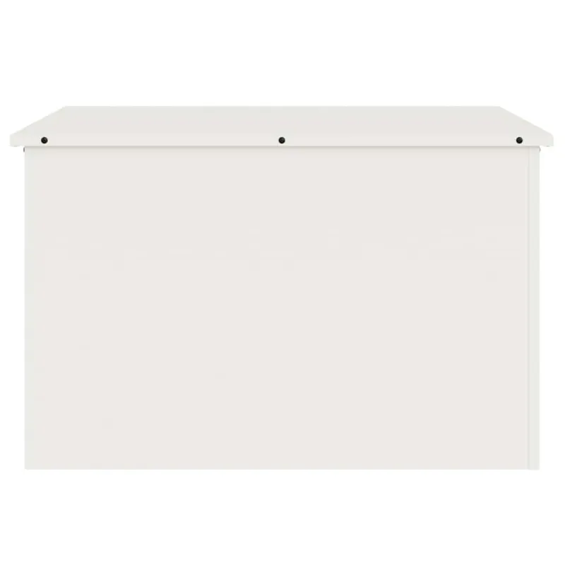 Lauko saugojimo dėžė Balta 80 x 50,5 x 50 cm Plienas