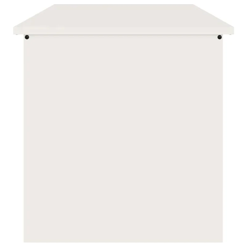 Lauko saugojimo dėžė Balta 80 x 50,5 x 50 cm Plienas