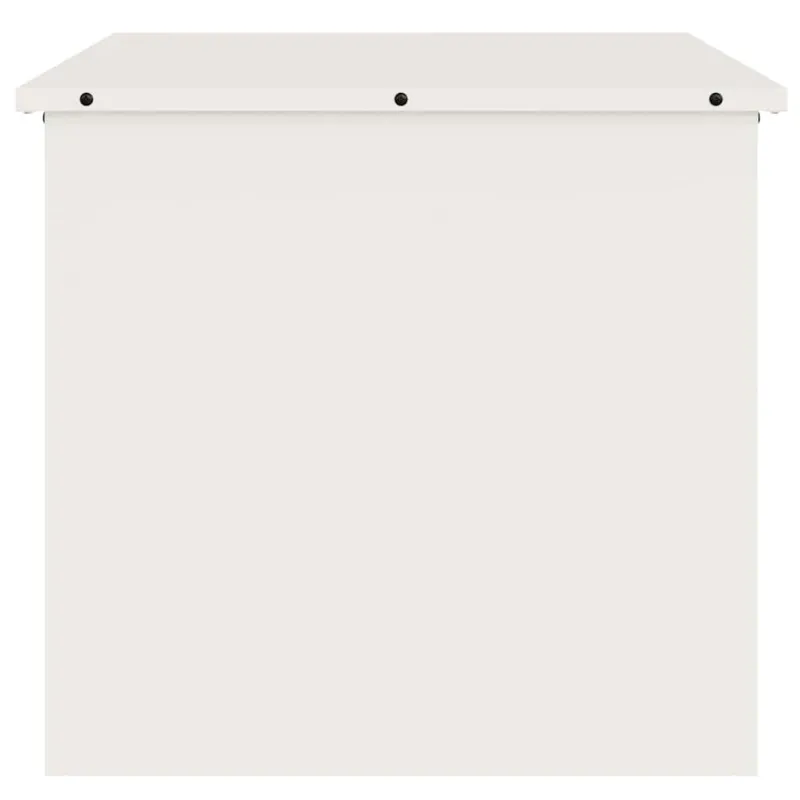 Lauko saugojimo dėžė Balta 55 x 50,5 x 50 cm Plienas