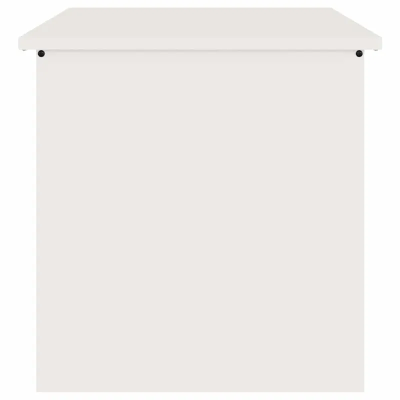 Lauko saugojimo dėžė Balta 55 x 50,5 x 50 cm Plienas