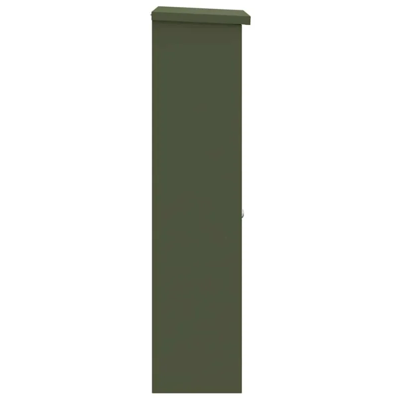Siuntų dėžutė Alyvuogių žalia 44,5 x 29 x 110,5 cm Plienas