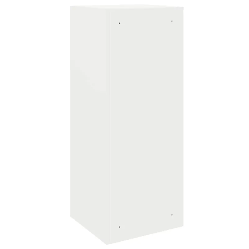Siuntų dėžutė su saugykla Balta 41 x 38 x 103 cm Plienas