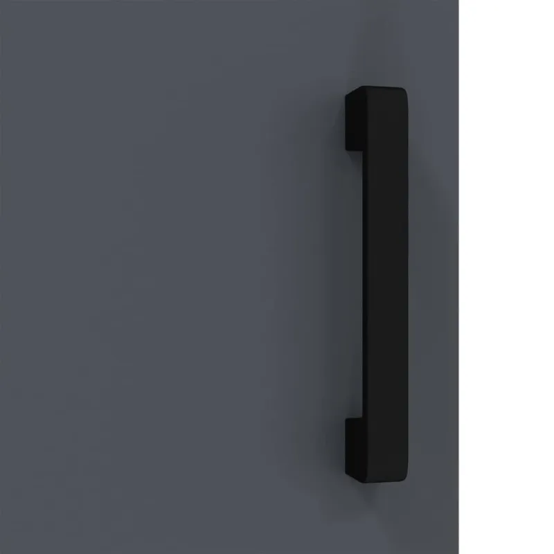 Virtuvės saugojimas HATTEM Antracito 60 x 50 x 92 cm Plienas