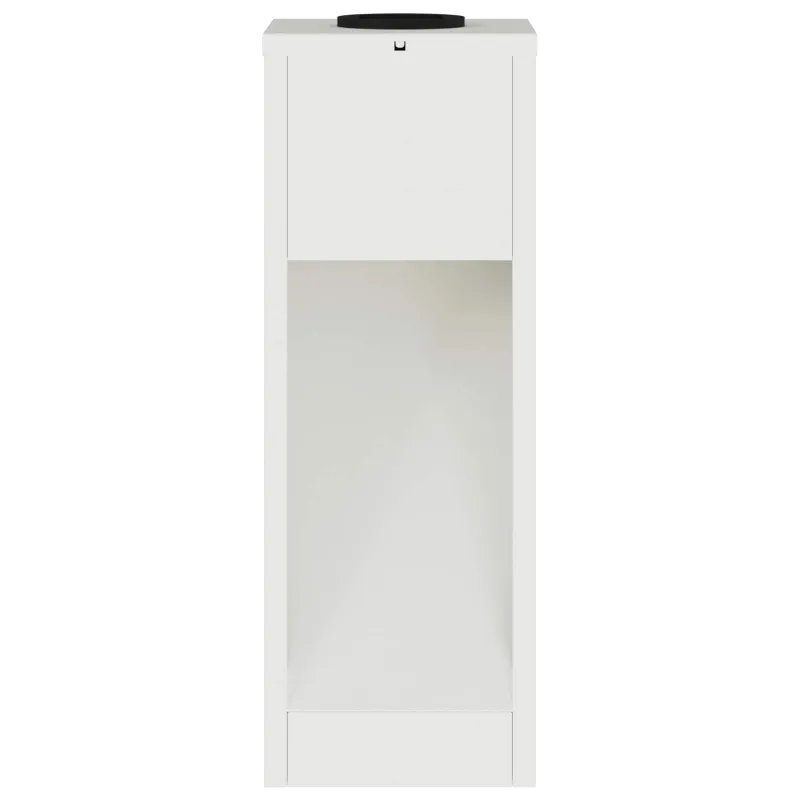 Saulės LED takų šviestuvas 2 pcs Balta Šaltai valcuotas plienas