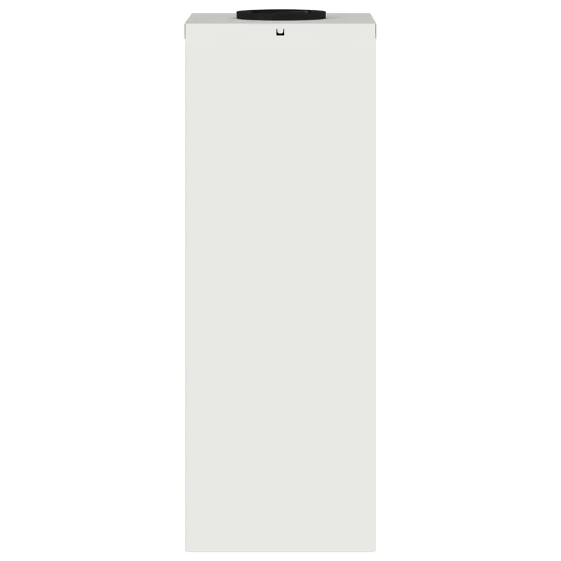 Saulės LED takų šviestuvas 2 pcs Balta Šaltai valcuotas plienas