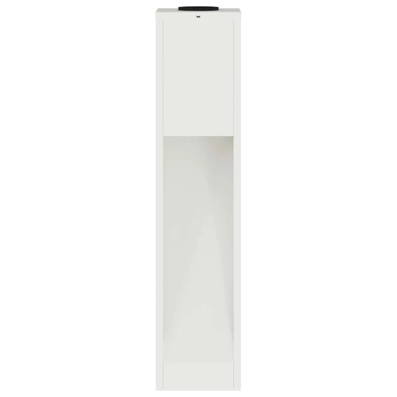 Saulės LED takų šviestuvas 2 pcs Balta Šaltai valcuotas plienas
