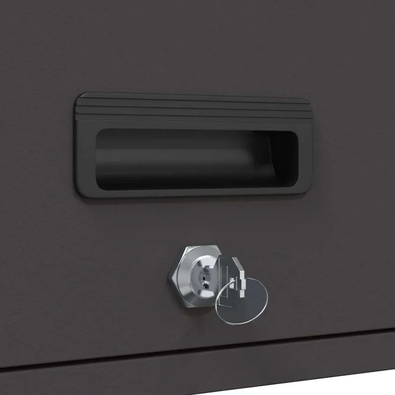 Sieninis kabinetas garažui Juoda 60 x 40 x 53 cm