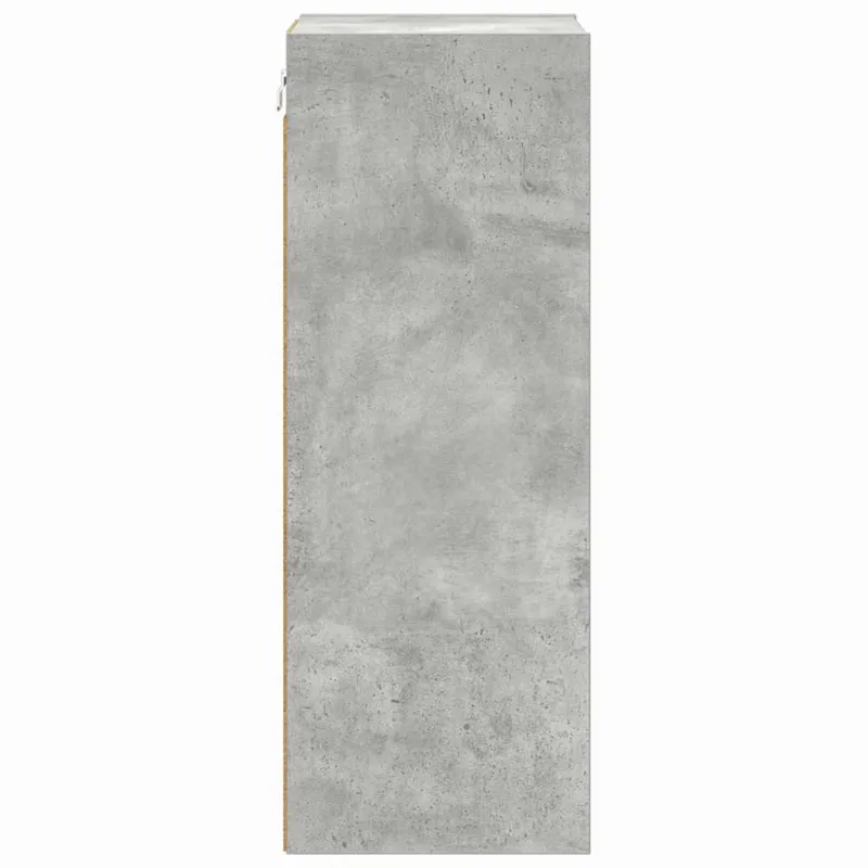 Pakabinama spintelė su saugykla Betono pilka 30 x 29,5 x 80 cm
