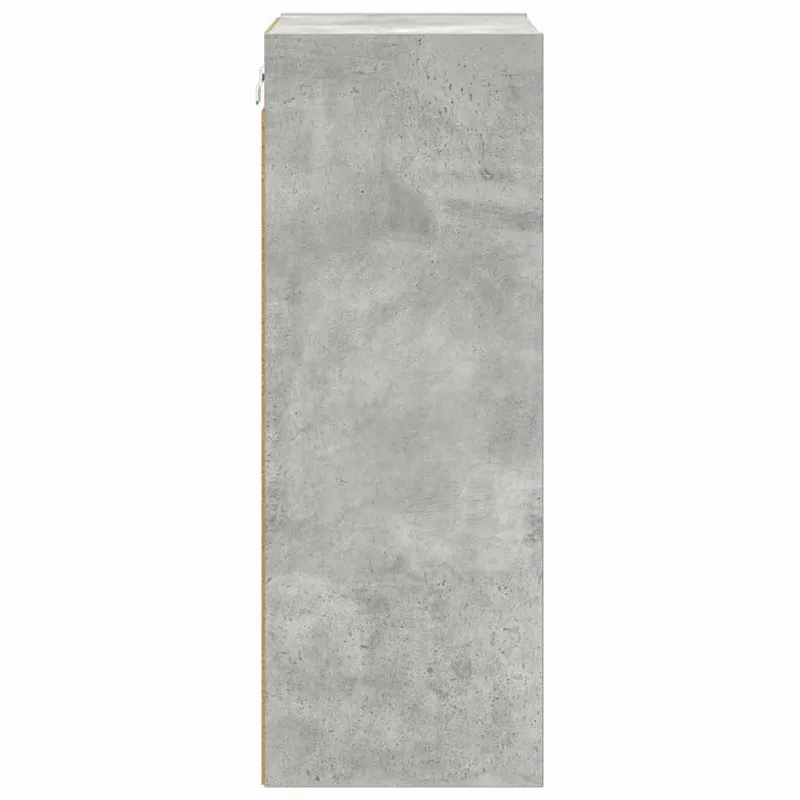 Pakabinama spintelė su saugykla Betono pilka 40 x 29,5 x 80 cm