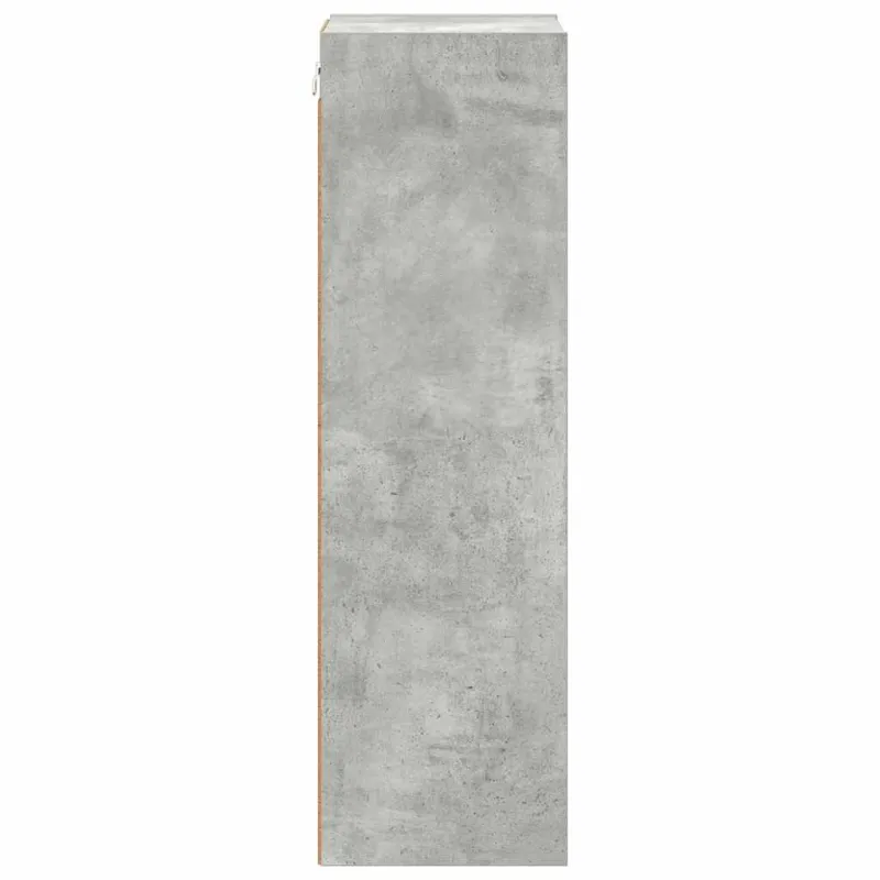 Pakabinama spintelė su saugykla Betono pilka 30 x 29,5 x 100 cm