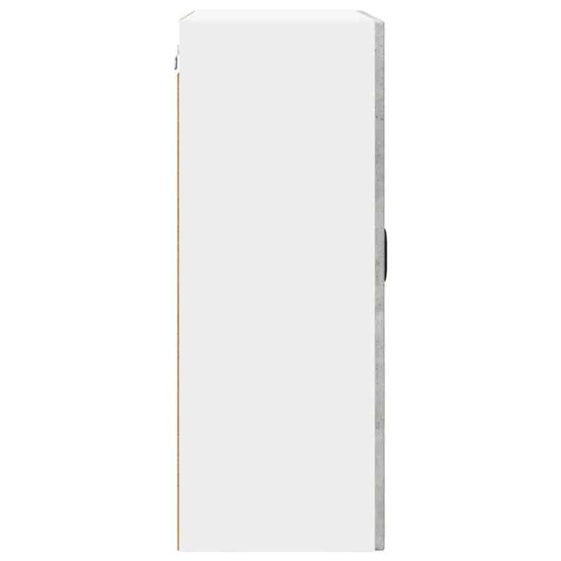 Sieninis stiklinis kabinetas PORTO Betono pilka 60 x 31 x 80 cm