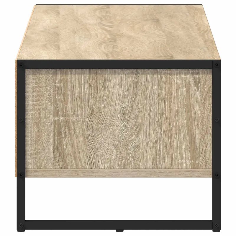 Televizoriaus spintelė Sonoma 100 x 36.5 x 30.5 cm