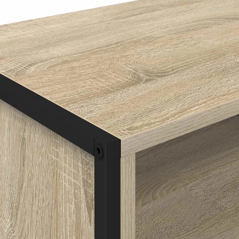 Televizoriaus spintelė Sonoma 100 x 36.5 x 30.5 cm