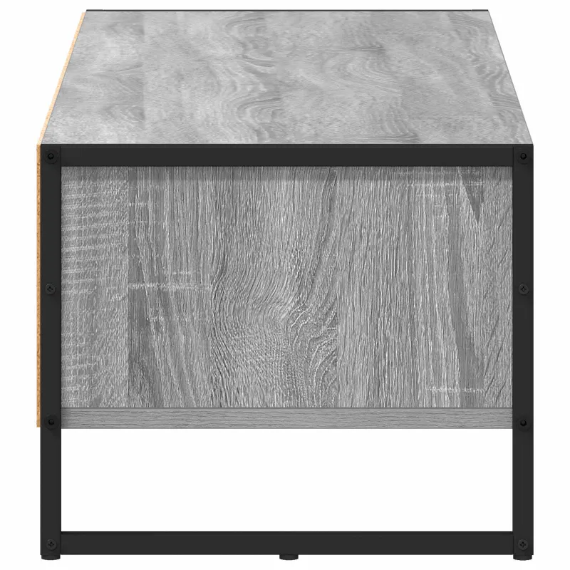 Televizoriaus spintelė Pilkas Sonoma 100 x 36.5 x 30.5 cm