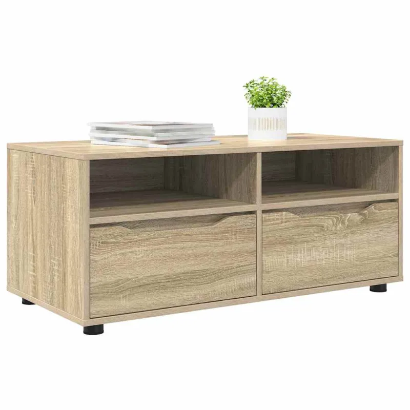 Televizoriaus spintelė Sonoma ąžuolas 100 x 48 x 43 cm