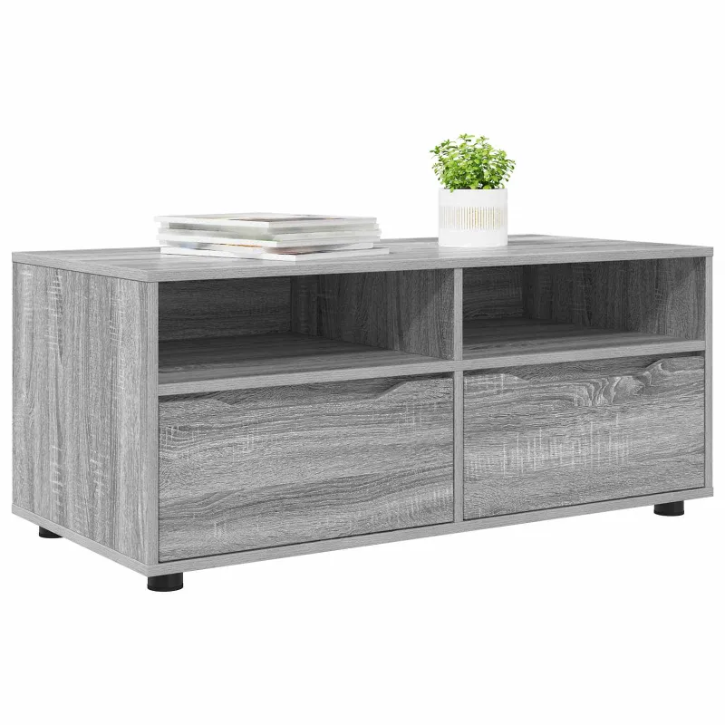 Televizoriaus spintelė Pilkas Sonoma 100 x 48 x 43 cm