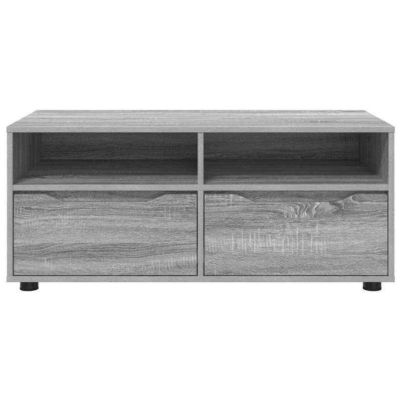 Televizoriaus spintelė Pilkas Sonoma 100 x 48 x 43 cm