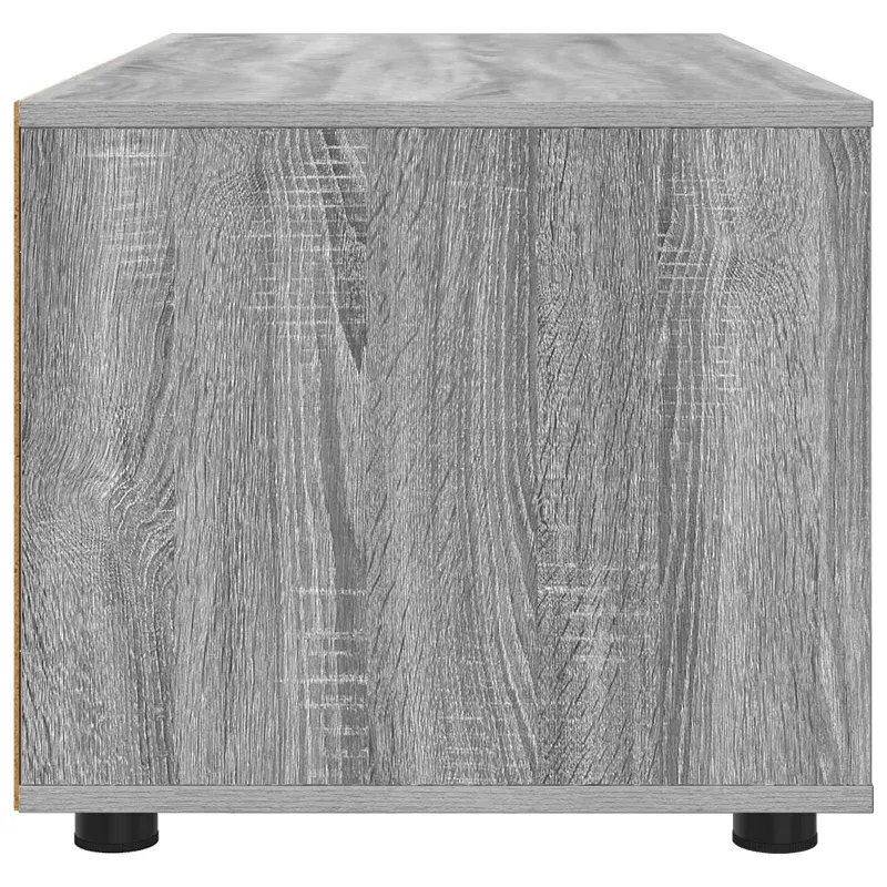 Televizoriaus spintelė Pilkas Sonoma 100 x 48 x 43 cm