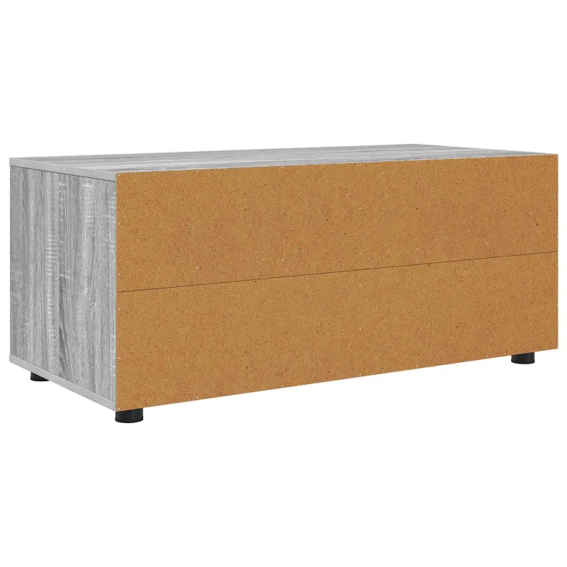 Televizoriaus spintelė Pilkas Sonoma 100 x 48 x 43 cm
