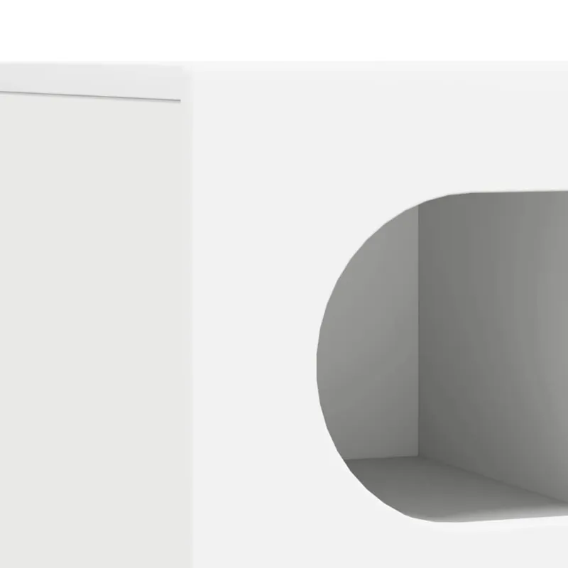 Televizoriaus spintelė Balta 100 x 35 x 40 cm Apdirbta mediena