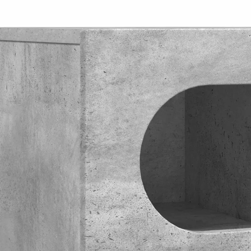 Televizoriaus spintelė Betono pilka 100 x 35 x 40 cm