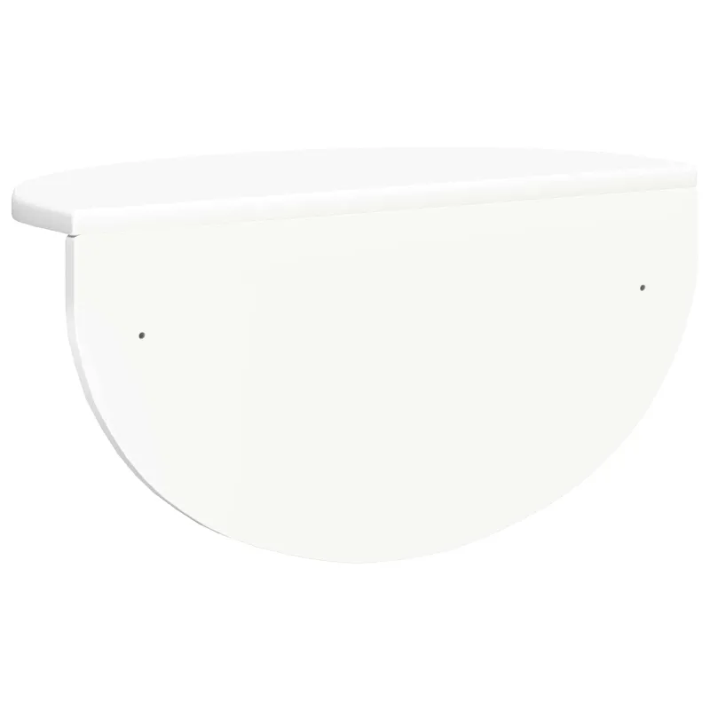 Sieninė lentyna 2 pcs Balta 48 x 24 x 24 cm Apdirbta mediena