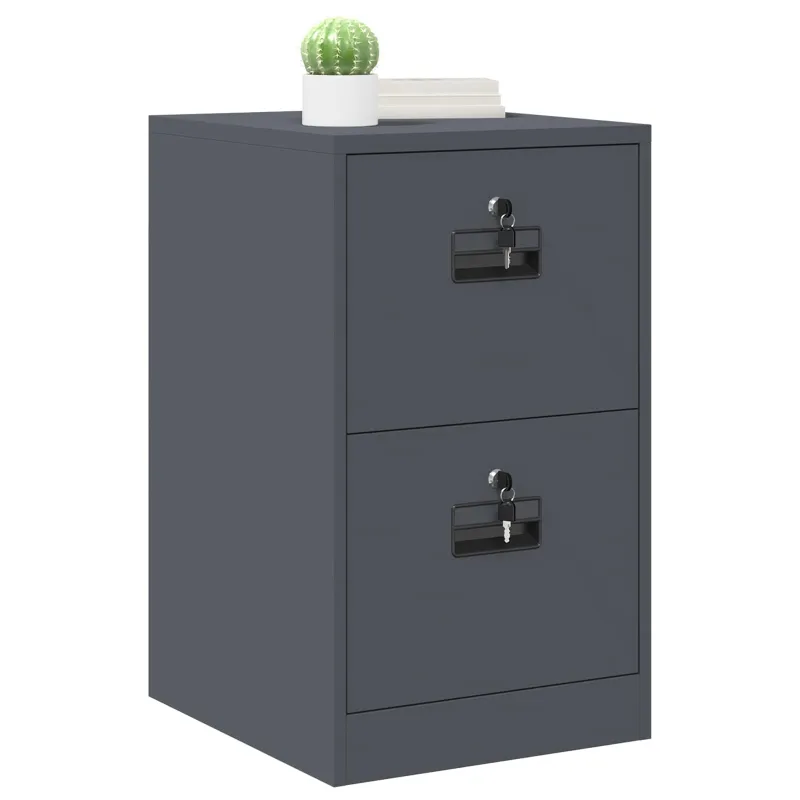 Bylų spinta su stalčių su lentyna Antracitas 44 x 50 x 74,5 cm