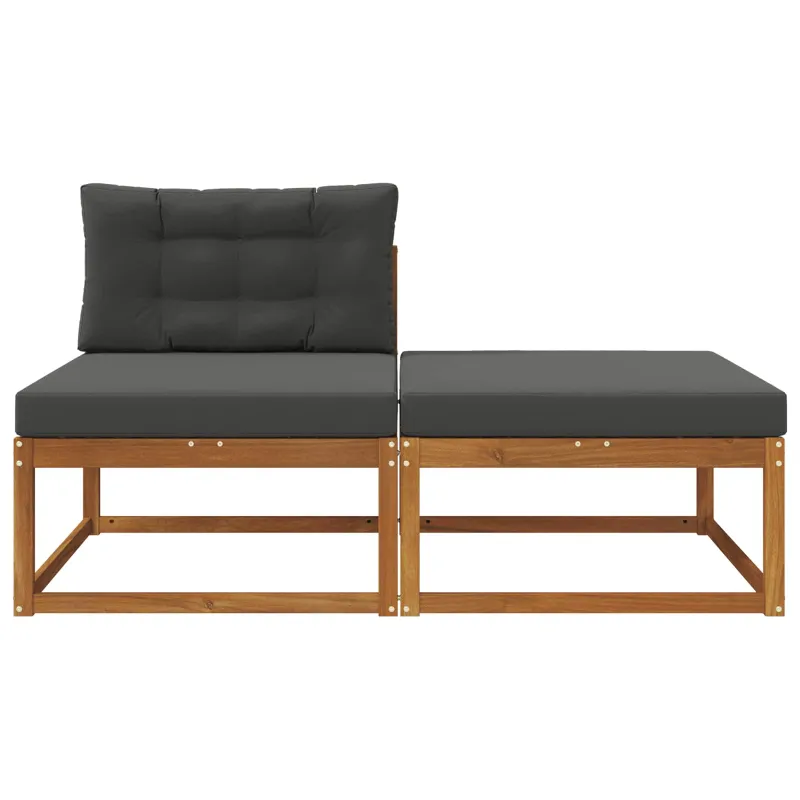 Sekcija sofa vienetai su pagalve 2 Vienetas Natūrali