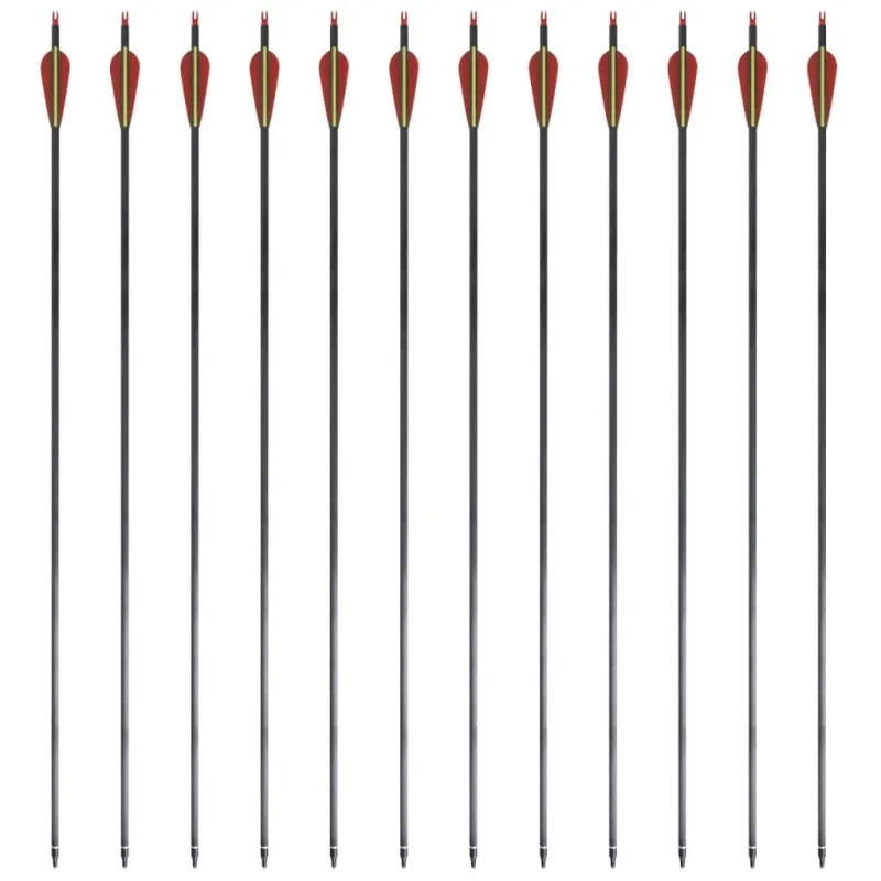 Standartinės lenkto lanko strėlės, 12vnt., anglis, 30", 0,76cm
