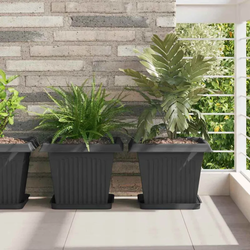 Augalų vazonai 6 pcs Juoda 33 x 33 x 26 cm Plastmasė
