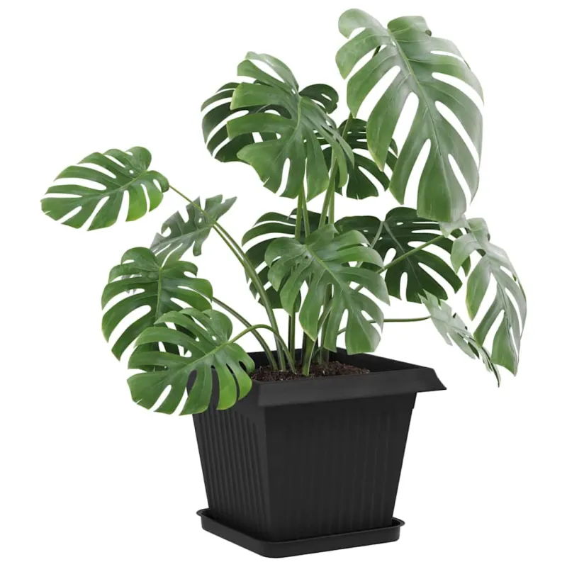 Augalų vazonai 6 pcs Juoda 33 x 33 x 26 cm Plastmasė