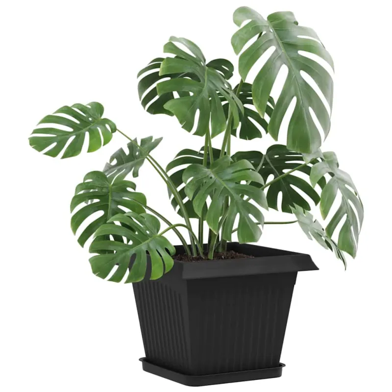Augalų vazonai 24 pcs Juoda 28,5 x 28,5 x 22 cm Plastmasė