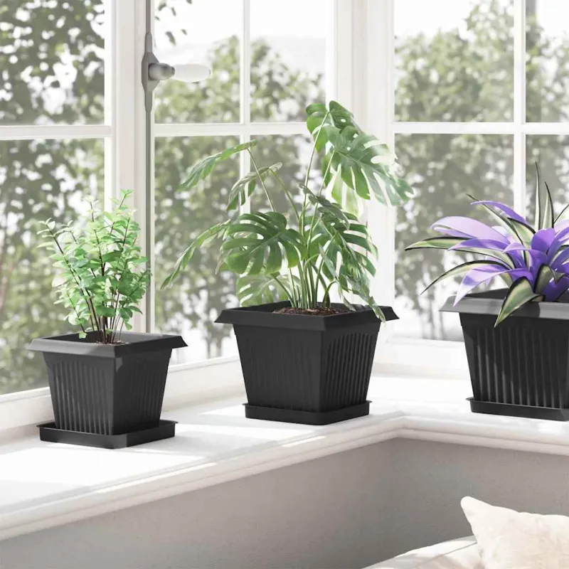 Kvadratinis gėlių padėklas 6 pcs Juoda 15 x 15 x 2 cm Plastmasė