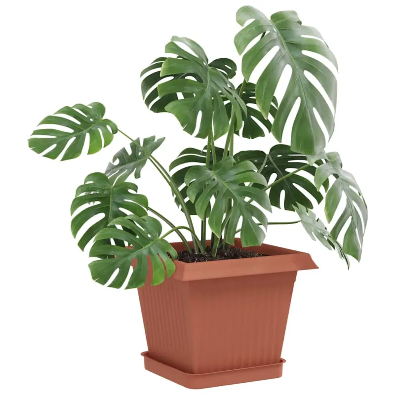 Kvadratinis gėlių padėklas 24 pcs Raudona plyta 15 x 15 x 2 cm