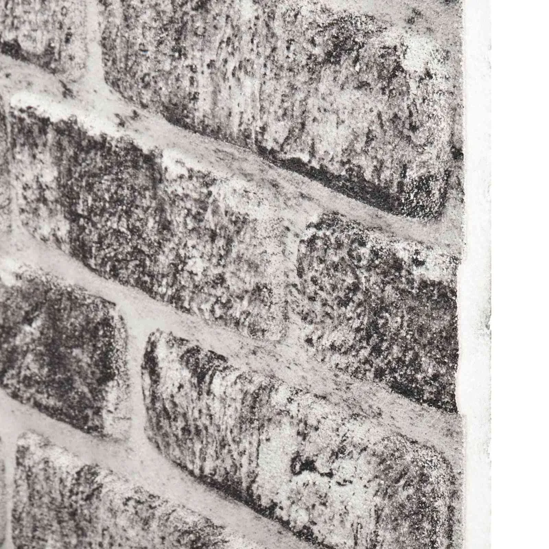 Sienų plokštės 10 pcs Tamsiai pilka ir balta 100 x 50 cm