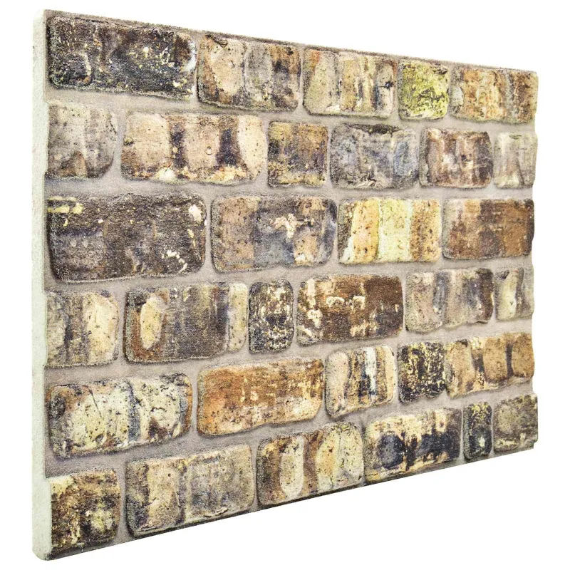Sienų plokštės 10 pcs Įvairiaspalvis 100 x 50 cm EPS putos