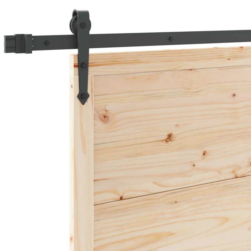 Slankios durys Natūrali 100 x 208 cm Pušies medienos masyvas