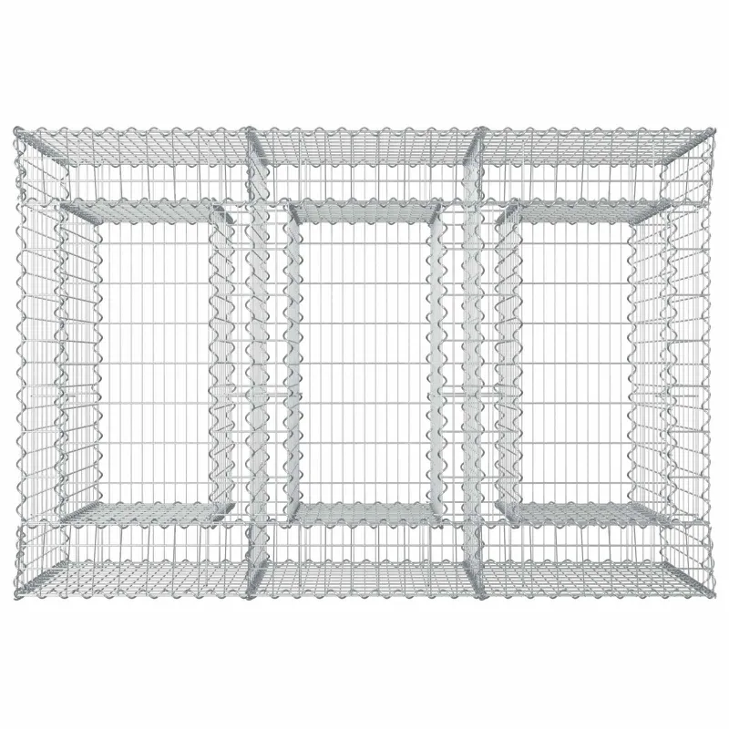 Gabioninė pakelta lova 2 pcs Sidabrinė