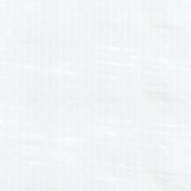 Šventinės palapinės šoninė siena 2 pcs Balta 400 x 195 cm