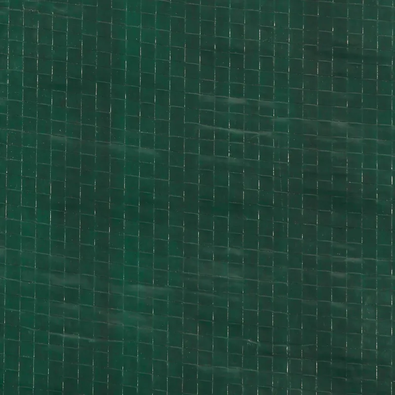 Šventinės palapinės šoninė siena 2 pcs Žalia 400 x 195 cm