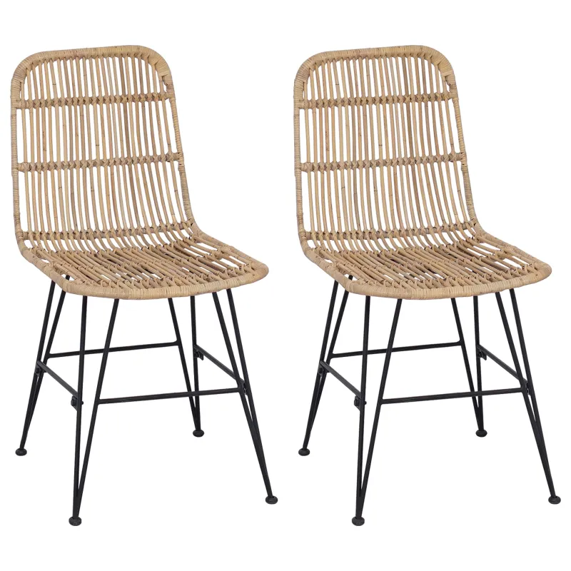 Valgomojo kėdė 2 pcs Natūrali 41 x 55 x 85 cm Ratana ir Plienas