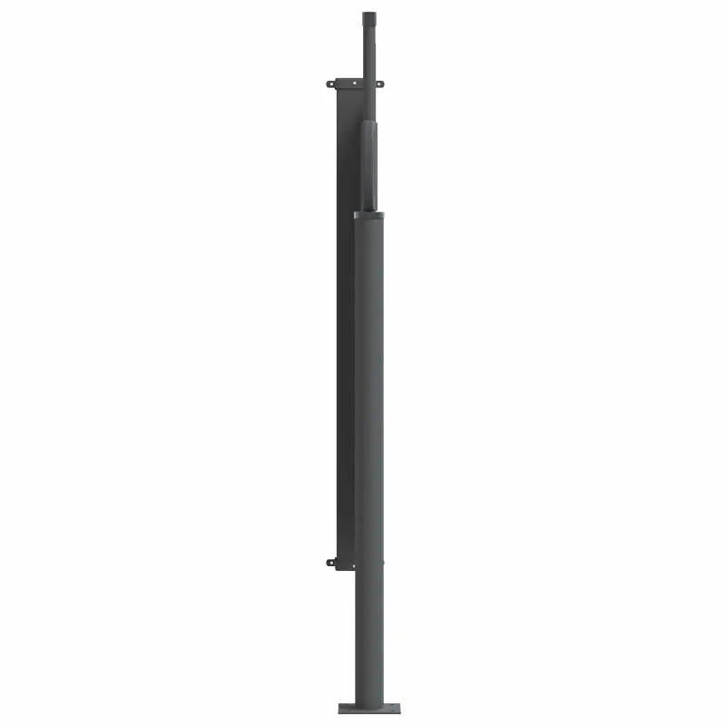 Ištraukiama šoninė užuolaida Juoda 300 x 100 cm Poliesteris