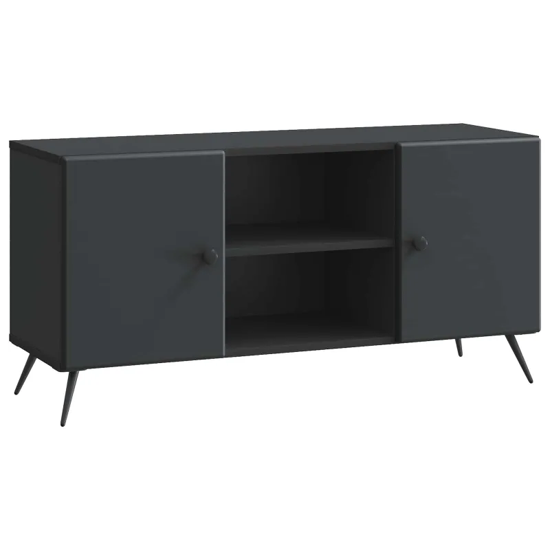Televizoriaus spintelė Juoda 102 x 34,5 x 50 cm