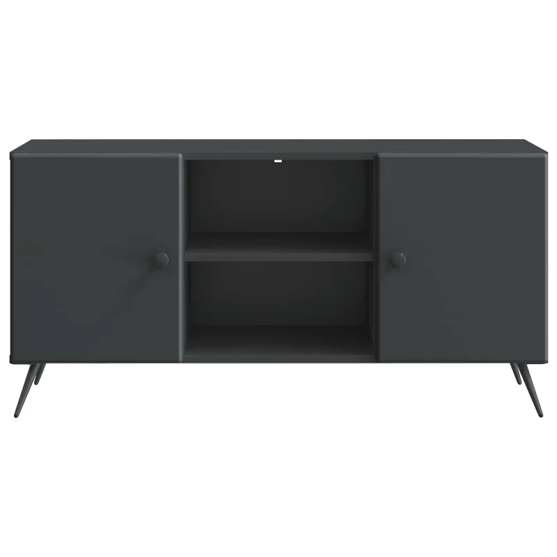 Televizoriaus spintelė Juoda 102 x 34,5 x 50 cm